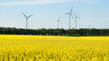 windturbine koolzaad windmolenpark